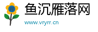 鱼沉雁落网